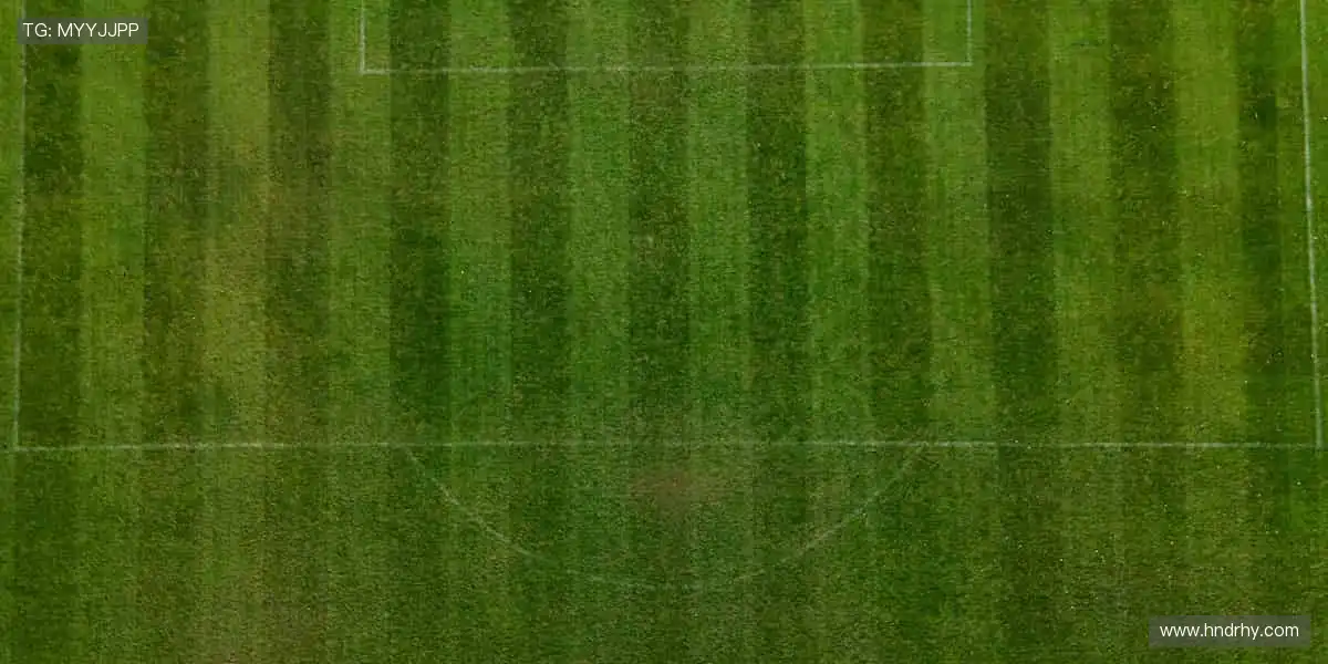 🏊‍♂️一键预约观赛提醒，重要赛事绝不错过！⏰